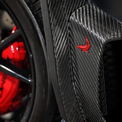 TopCar Carbon Side Panels with Shark Logo (2 pcs) for Mercedes-AMG G63 2025 INFERNO